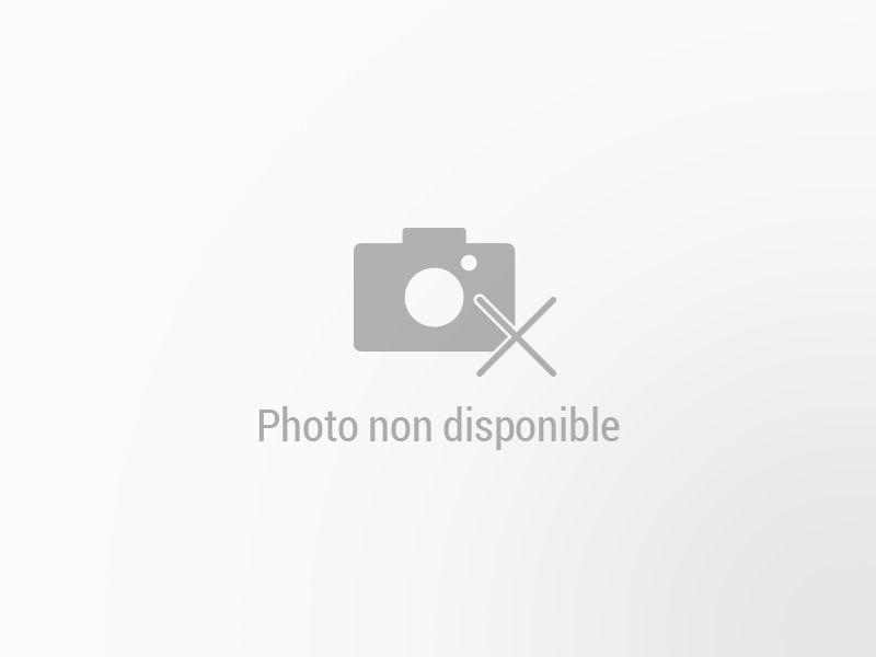 NISSAN Navara VUL d’occasion à vendre à THONON